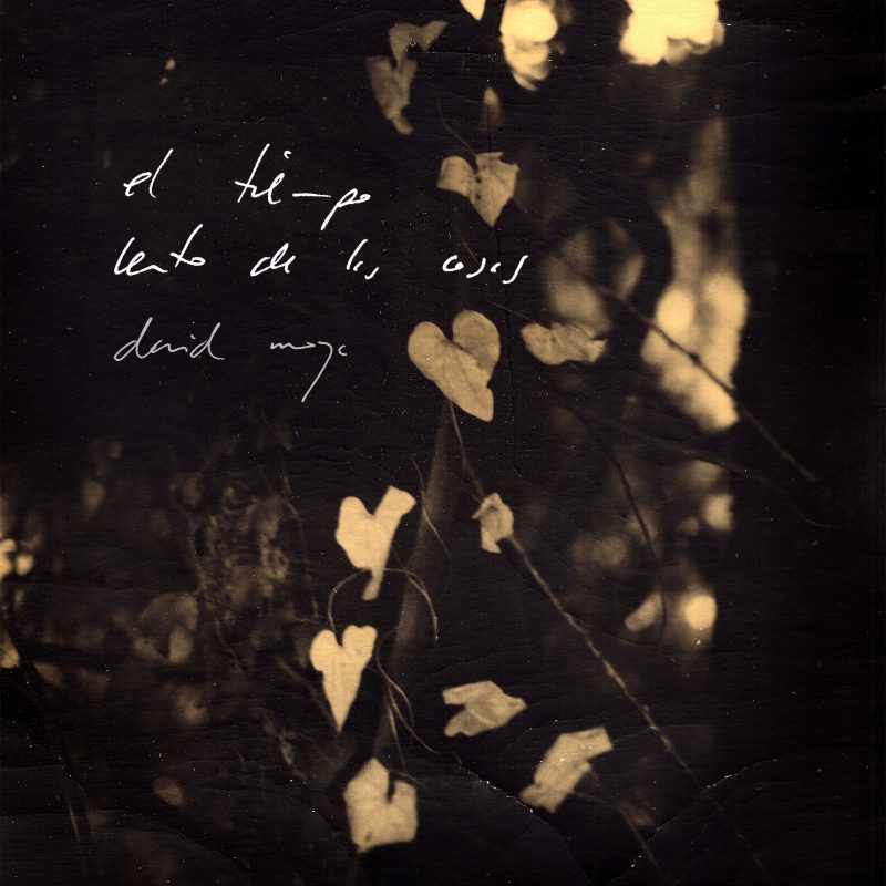 El tiempo lento de las cosas (2020)