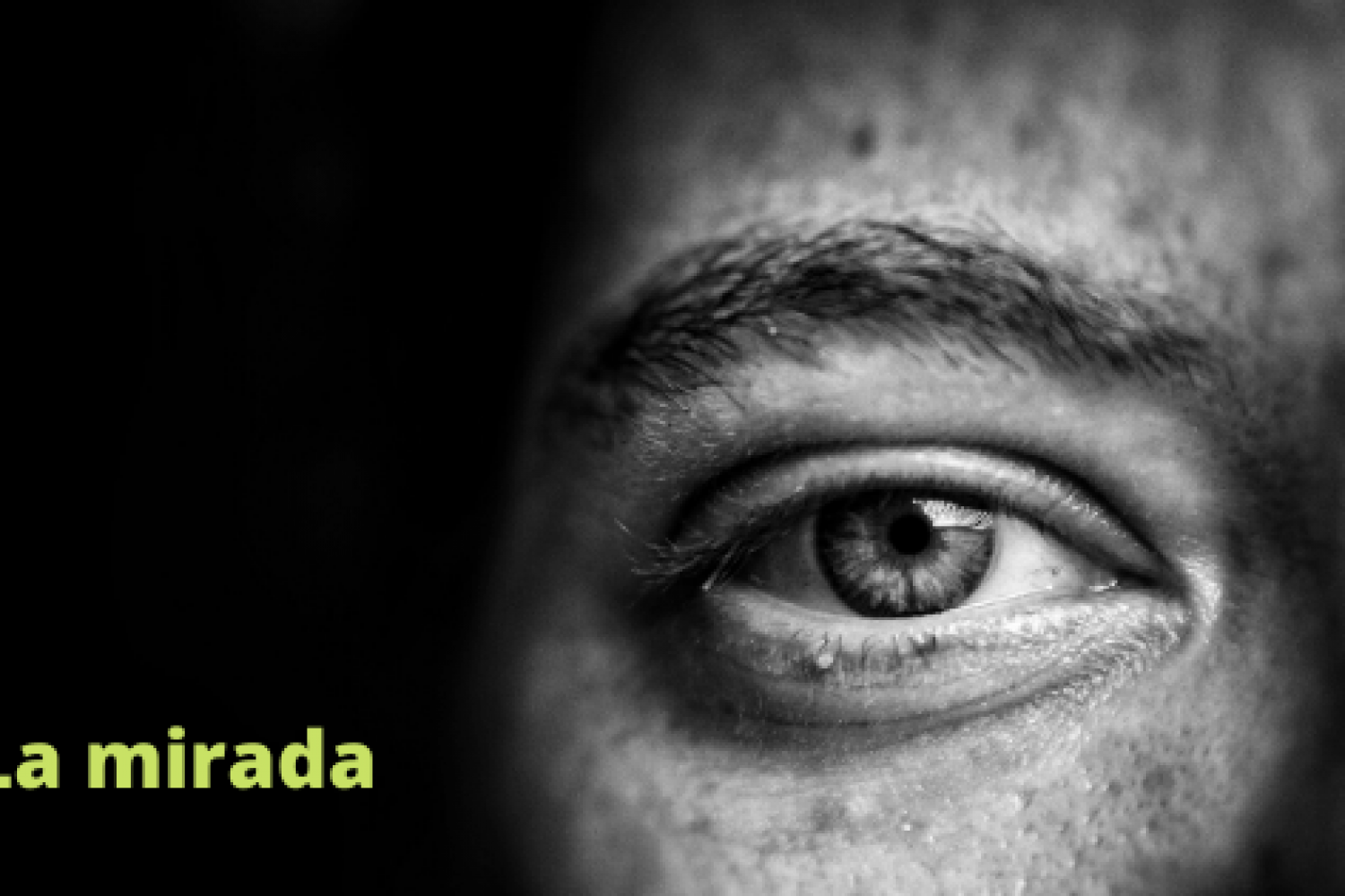 la-mirada-el-tiempo-lento-de-las-cosas-david-moya