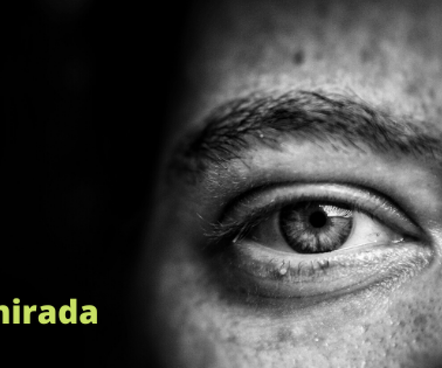 la-mirada-el-tiempo-lento-de-las-cosas-david-moya